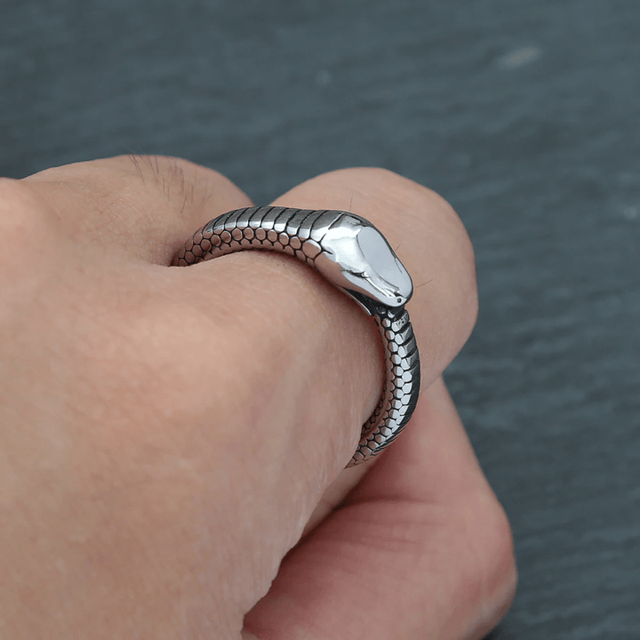 WorldNorse Rattlesnake Titanium Steel Ring - image 2