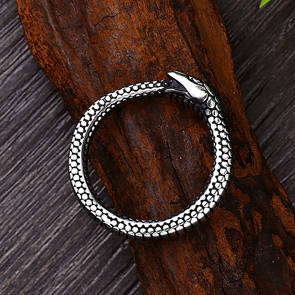 WorldNorse Rattlesnake Titanium Steel Ring