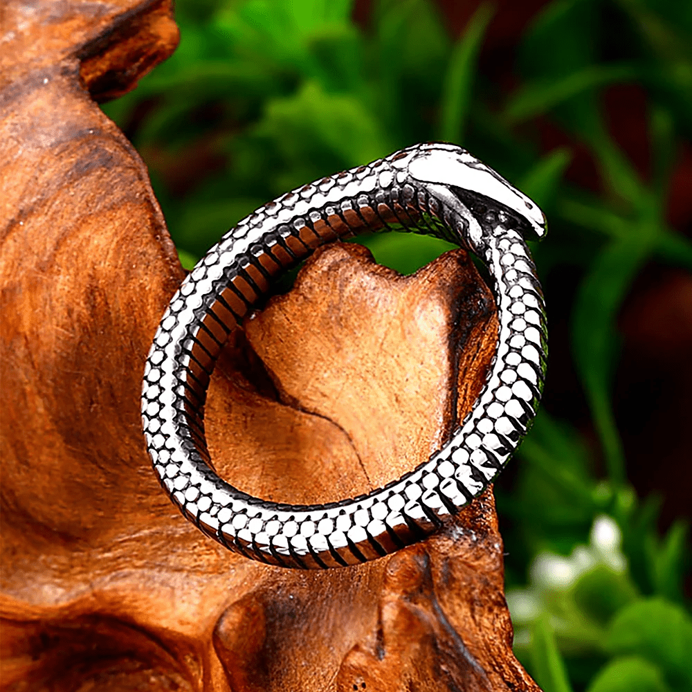 WorldNorse Rattlesnake Titanium Steel Ring - image 1