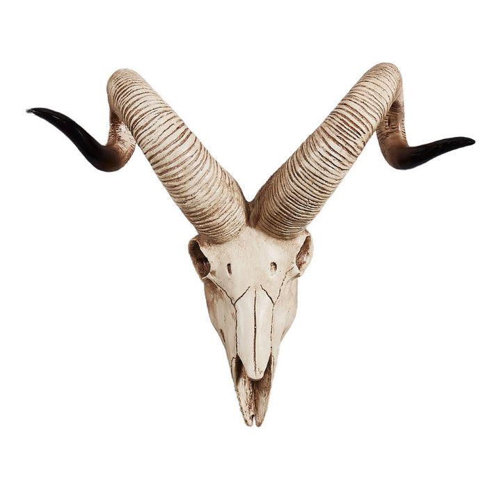 WorldNorse Ram Sheep Skull Wall Sculpture Decor - image 6