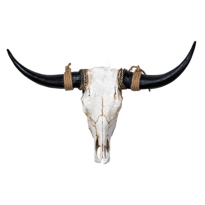 WorldNorse Long Horn Cow Skull Wall Decor - Black Horn - Disassembled - image 0