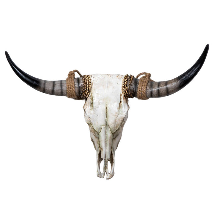 WorldNorse Long Horn Cow Skull Wall Decor - Brown Horn - Disassembled - image 7
