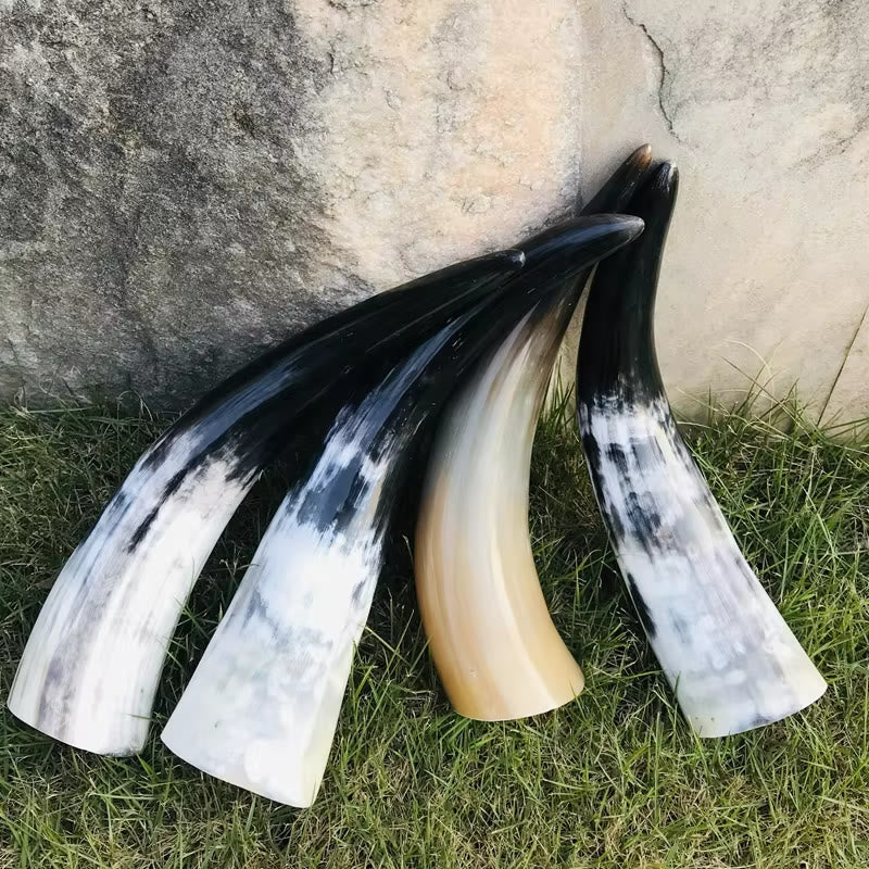 WorldNorse Handcrafted Authentic Drinking Horn - image 2