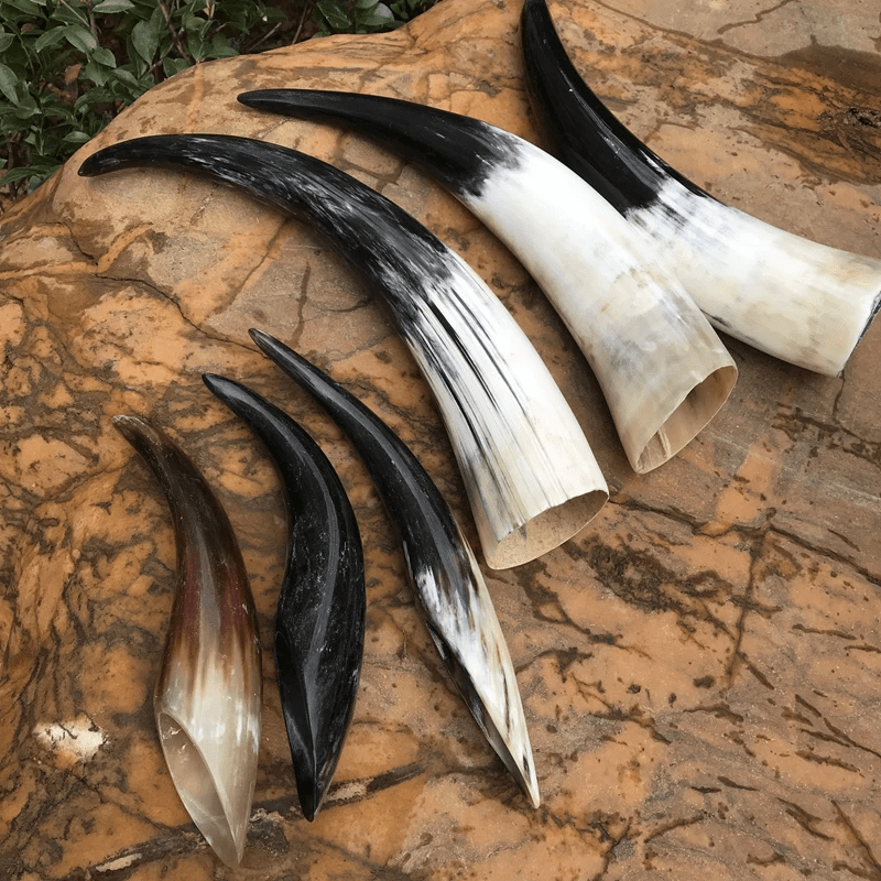 WorldNorse Handcrafted Authentic Drinking Horn - image 0