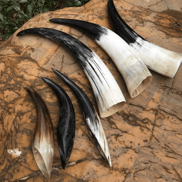 WorldNorse Handcrafted Authentic Drinking Horn - image 0